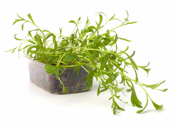 Similar image 2958872