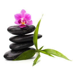 Similar image 2958879