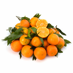 Similar image 2958886