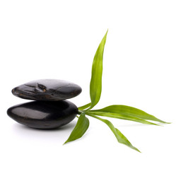 Similar image 2958908