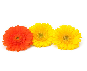 Similar image 2958918