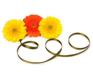 Similar image 2958919