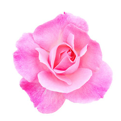 Similar image 2958962