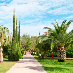 Similar image 2958963