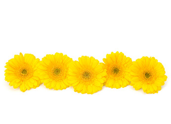 Similar image 2958985