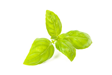 Similar image 2959009