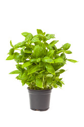 Similar image 2959011