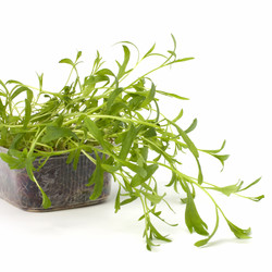 Similar image 2959034