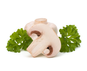 Similar image 2959037