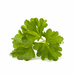 Similar image 2959039