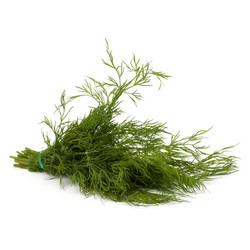 Similar image 2959051