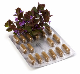 Similar image 2959052