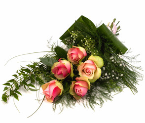 Similar image 2959053