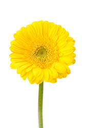 Similar image 2959063