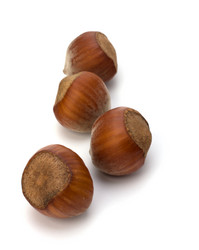 Similar image 2959075