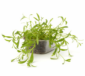 Similar image 2959098