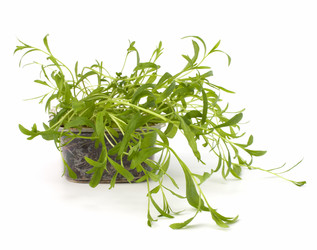 Similar image 2959117