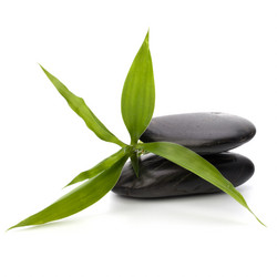 Similar image 2959135