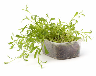 Similar image 2959140