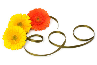 Similar image 2959146