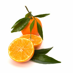 Similar image 2959147