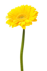 Similar image 2959171