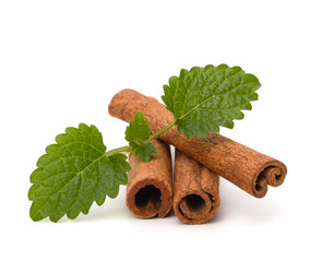 Similar image 2959182