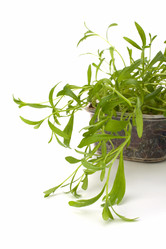 Similar image 2959185