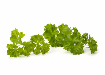 Similar image 2959208