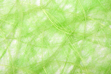 Similar image 2959210