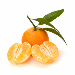 Similar image 2959227