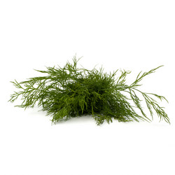 Similar image 2959232