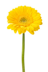 Similar image 2959258