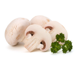 Similar image 2959272