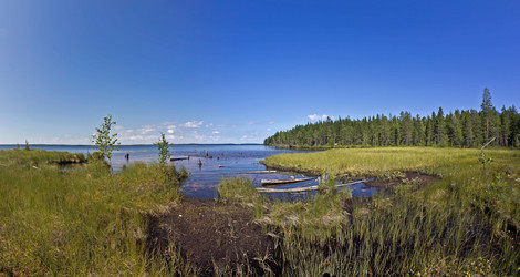 Similar image 2959283