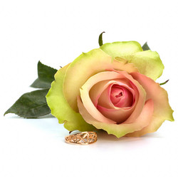 Similar image 2959304