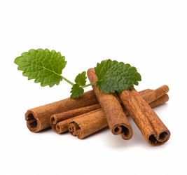 Similar image 2959313