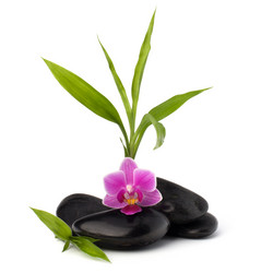 Similar image 2959331