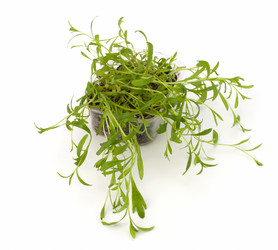 Similar image 2959338