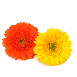 Similar image 2959349