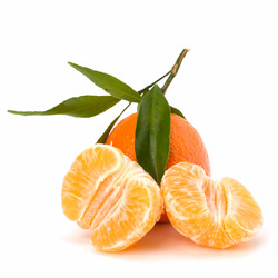 Similar image 2959351