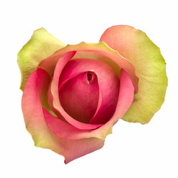 Similar image 2959365