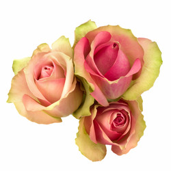 Similar image 2959366