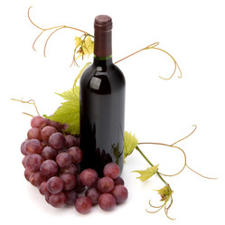 Similar image 2959370