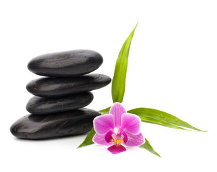 Similar image 2959376