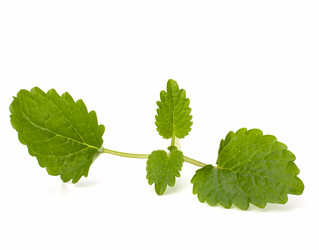 Similar image 2959385