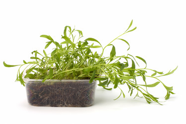 Similar image 2959456