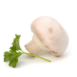 Similar image 2959469