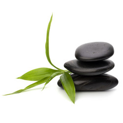 Similar image 2959471