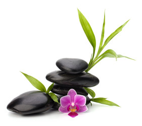 Similar image 2959479